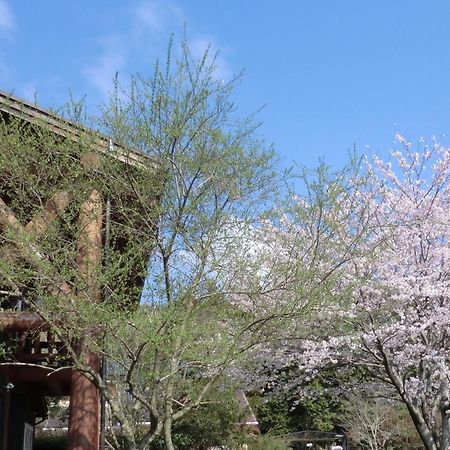 Lassy Condominium Kumamoto Exterior foto